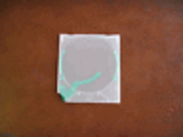 2000 GREEN Variopac Trigger Vario CD DVD Poly Case PSC25