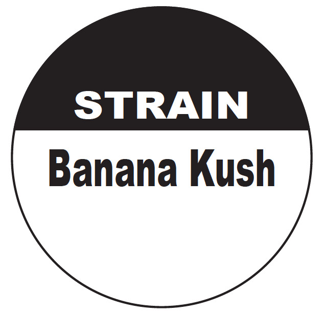 Printed Round Labels 5,000 Custom 1/2″ Circle .5″ THC CBD (1000 of 5 designs)