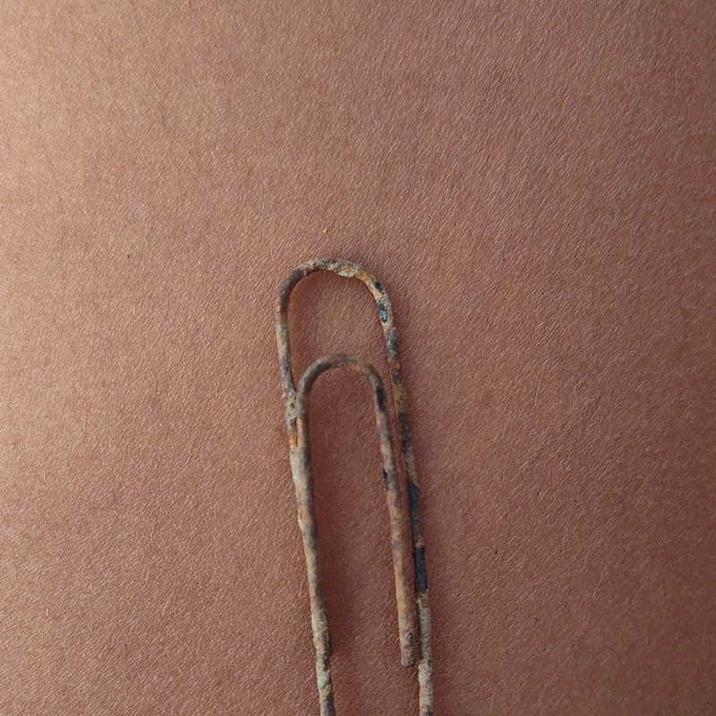 Metal Paper Clip – Metallic Color, Metal Material, Paper Clip Type