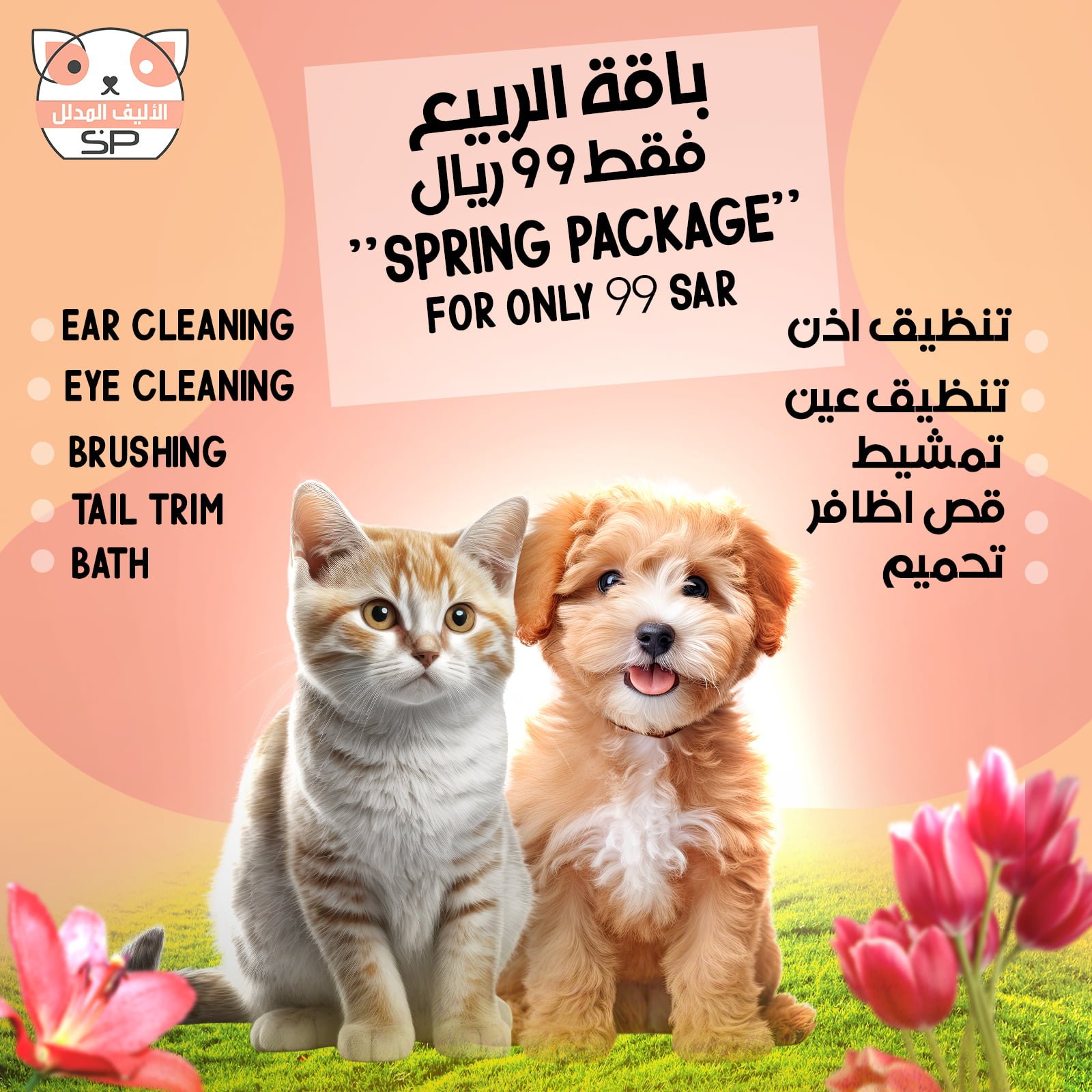 spoiled-pet-spring-package